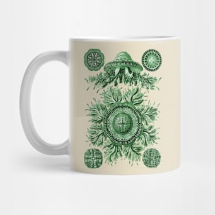 Ernst Haeckel Discomedusae Jellyfish Plate 28 Green Mug
